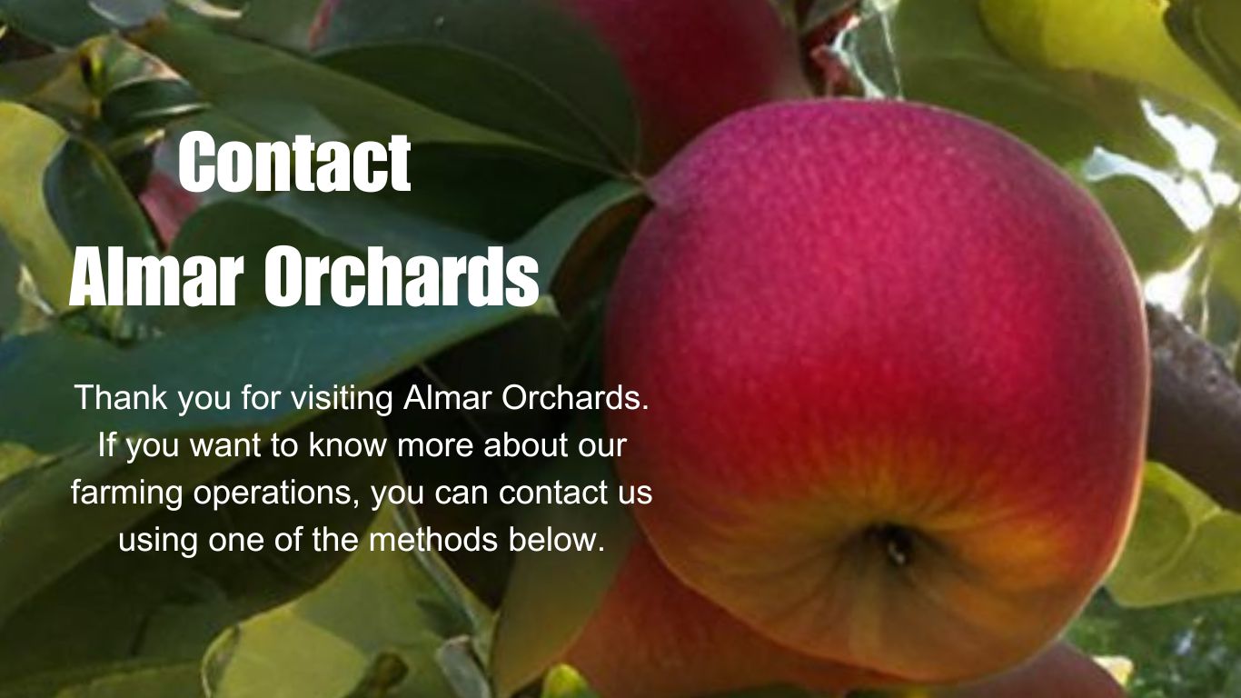 Contact Almar Orchards