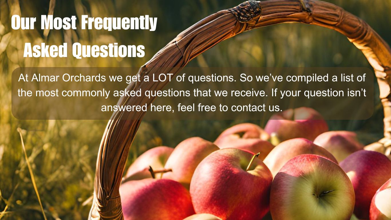 Frequently Asked Questions